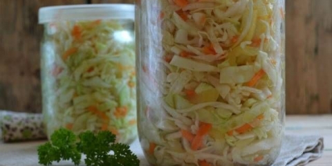 Kako brzo i ukusno kiseliti kupus